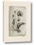 Picture of Vintage Flower I