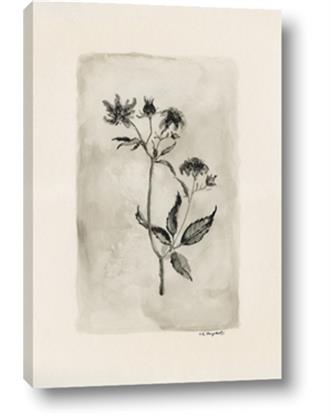 Picture of Vintage Flower IV