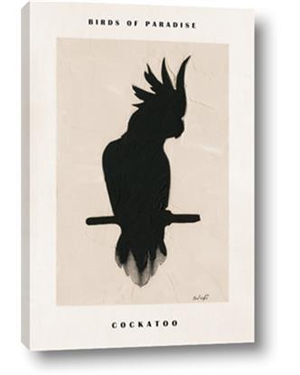 Picture of Vintage Cockatoo