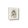 Picture of Vintage Flower II _GroupedProduct_Rectangle_Portrait_Canvas_