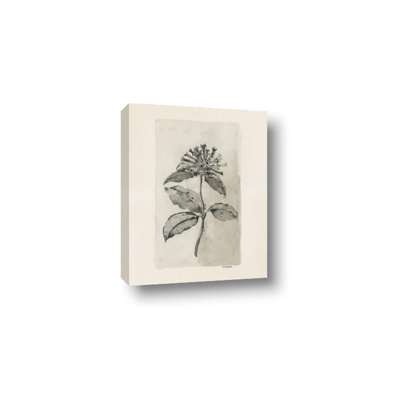 Picture of Vintage Flower II _GroupedProduct_Rectangle_Portrait_Canvas_