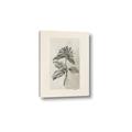 Picture of Vintage Flower II _GroupedProduct_Rectangle_Portrait_Canvas_