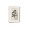 Picture of Vintage Flower II _GroupedProduct_Rectangle_Portrait_Canvas_