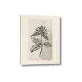 Picture of Vintage Flower II _GroupedProduct_Rectangle_Portrait_Canvas_