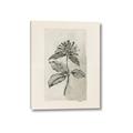 Picture of Vintage Flower II _GroupedProduct_Rectangle_Portrait_Canvas_