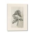 Picture of Vintage Flower II _GroupedProduct_Rectangle_Portrait_Canvas_