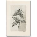 Picture of Vintage Flower II _GroupedProduct_Rectangle_Portrait_Canvas_
