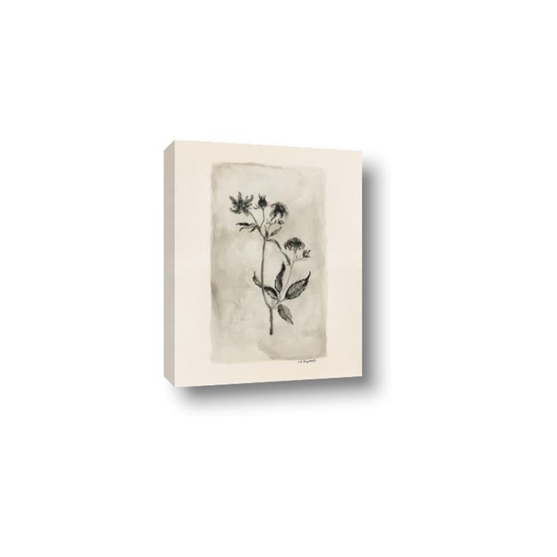 Picture of Vintage Flower IV _GroupedProduct_Rectangle_Portrait_Canvas_