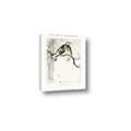 Picture of Chinoiserie Birds _GroupedProduct_Rectangle_Portrait_Canvas_
