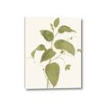 Picture of Leaf Mirage I _GroupedProduct_Rectangle_Portrait_Canvas_