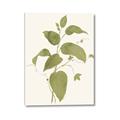 Picture of Leaf Mirage I _GroupedProduct_Rectangle_Portrait_Canvas_