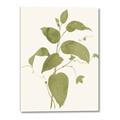 Picture of Leaf Mirage I _GroupedProduct_Rectangle_Portrait_Canvas_