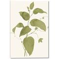 Picture of Leaf Mirage I _GroupedProduct_Rectangle_Portrait_Canvas_