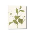 Picture of Leaf Mirage II _GroupedProduct_Rectangle_Portrait_Canvas_