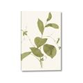 Picture of Leaf Mirage II _GroupedProduct_Rectangle_Portrait_Canvas_