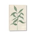 Picture of Swaying Foliage I _GroupedProduct_Rectangle_Portrait_Canvas_