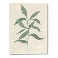 Picture of Swaying Foliage I _GroupedProduct_Rectangle_Portrait_Canvas_