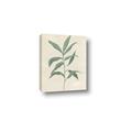 Picture of Swaying Foliage II _GroupedProduct_Rectangle_Portrait_Canvas_