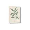 Picture of Swaying Foliage II _GroupedProduct_Rectangle_Portrait_Canvas_