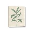 Picture of Swaying Foliage II _GroupedProduct_Rectangle_Portrait_Canvas_