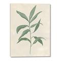 Picture of Swaying Foliage II _GroupedProduct_Rectangle_Portrait_Canvas_