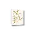 Picture of Botanical Strand I _GroupedProduct_Rectangle_Portrait_Canvas_