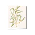 Picture of Botanical Strand I _GroupedProduct_Rectangle_Portrait_Canvas_