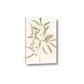 Picture of Botanical Strand II _GroupedProduct_Rectangle_Portrait_Canvas_