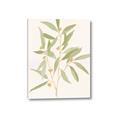 Picture of Botanical Strand II _GroupedProduct_Rectangle_Portrait_Canvas_