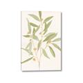 Picture of Botanical Strand II _GroupedProduct_Rectangle_Portrait_Canvas_