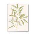 Picture of Botanical Strand II _GroupedProduct_Rectangle_Portrait_Canvas_