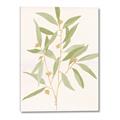 Picture of Botanical Strand II _GroupedProduct_Rectangle_Portrait_Canvas_