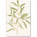 Picture of Botanical Strand II _GroupedProduct_Rectangle_Portrait_Canvas_