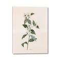 Picture of Swaying Foliage III _GroupedProduct_Rectangle_Portrait_Canvas_