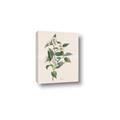 Picture of Swaying Foliage IV _GroupedProduct_Rectangle_Portrait_Canvas_