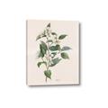 Picture of Swaying Foliage IV _GroupedProduct_Rectangle_Portrait_Canvas_