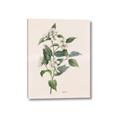 Picture of Swaying Foliage IV _GroupedProduct_Rectangle_Portrait_Canvas_