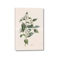Picture of Swaying Foliage IV _GroupedProduct_Rectangle_Portrait_Canvas_