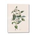 Picture of Swaying Foliage IV _GroupedProduct_Rectangle_Portrait_Canvas_