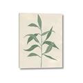 Picture of Swaying Foliage V _GroupedProduct_Rectangle_Portrait_Canvas_