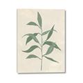 Picture of Swaying Foliage V _GroupedProduct_Rectangle_Portrait_Canvas_