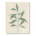 Picture of Swaying Foliage V _GroupedProduct_Rectangle_Portrait_Canvas_
