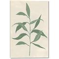 Picture of Swaying Foliage V _GroupedProduct_Rectangle_Portrait_Canvas_