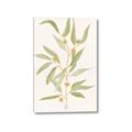 Picture of Botanical Strand III _GroupedProduct_Rectangle_Portrait_Canvas_