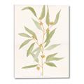 Picture of Botanical Strand III _GroupedProduct_Rectangle_Portrait_Canvas_