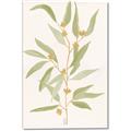 Picture of Botanical Strand III _GroupedProduct_Rectangle_Portrait_Canvas_