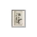 Picture of Vintage Flower I _GroupedProduct_Rectangle_Portrait_Canvas_Framed_