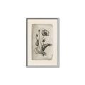 Picture of Vintage Flower I _GroupedProduct_Rectangle_Portrait_Canvas_Framed_