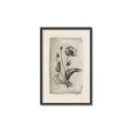 Picture of Vintage Flower I _GroupedProduct_Rectangle_Portrait_Canvas_Framed_