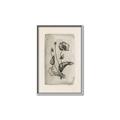 Picture of Vintage Flower I _GroupedProduct_Rectangle_Portrait_Canvas_Framed_